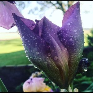 Meet your Posher, Stefanie